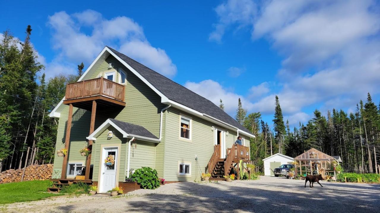 Upper Humber Settlement A Farmstay B&B Cormack Ngoại thất bức ảnh