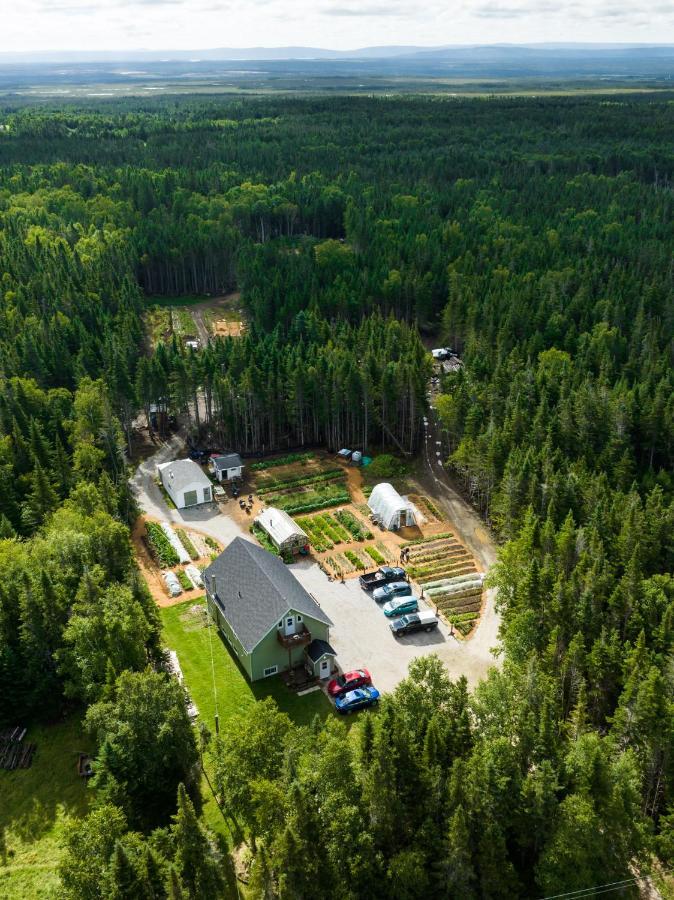 Upper Humber Settlement A Farmstay B&B Cormack Ngoại thất bức ảnh