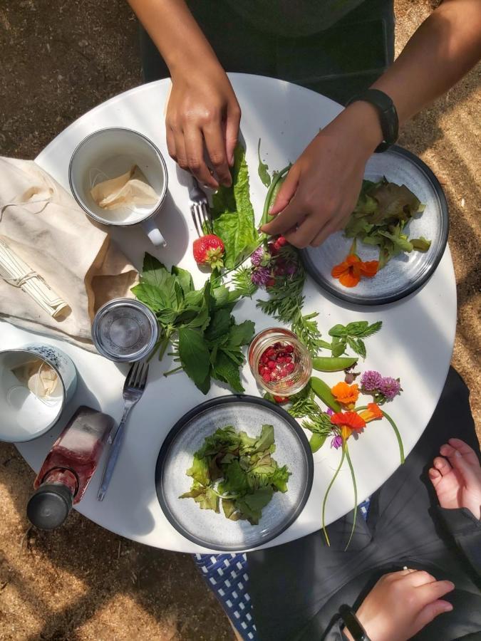 Upper Humber Settlement A Farmstay B&B Cormack Ngoại thất bức ảnh