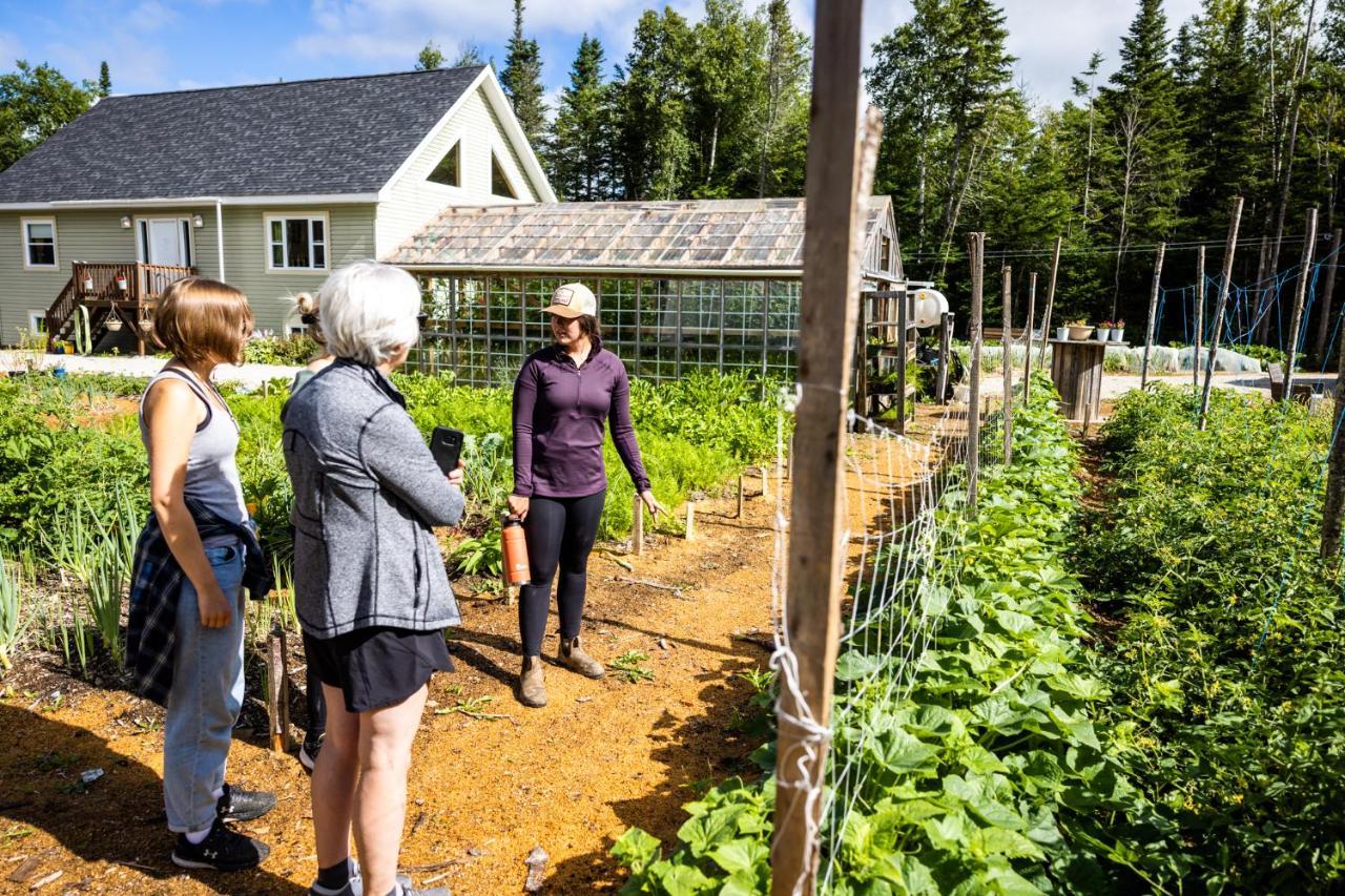 Upper Humber Settlement A Farmstay B&B Cormack Ngoại thất bức ảnh