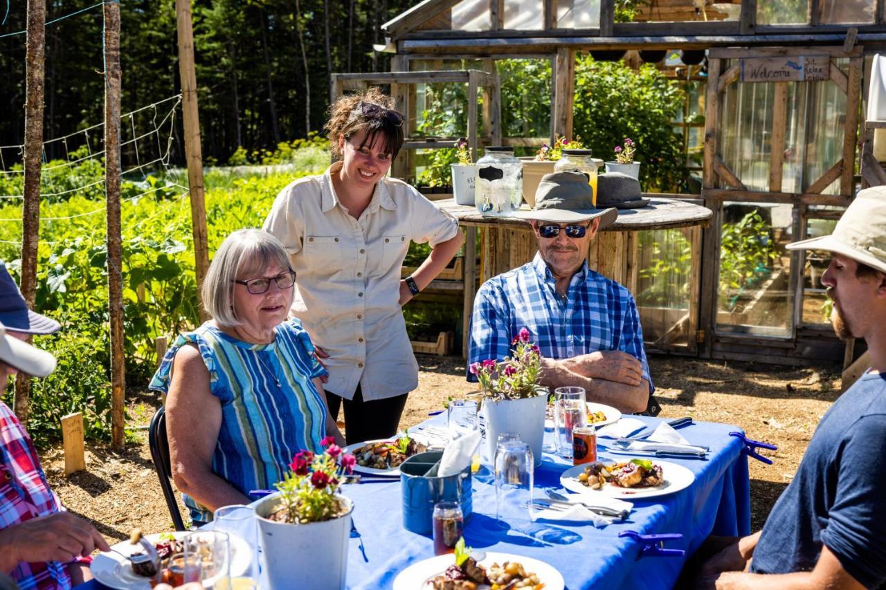 Upper Humber Settlement A Farmstay B&B Cormack Ngoại thất bức ảnh