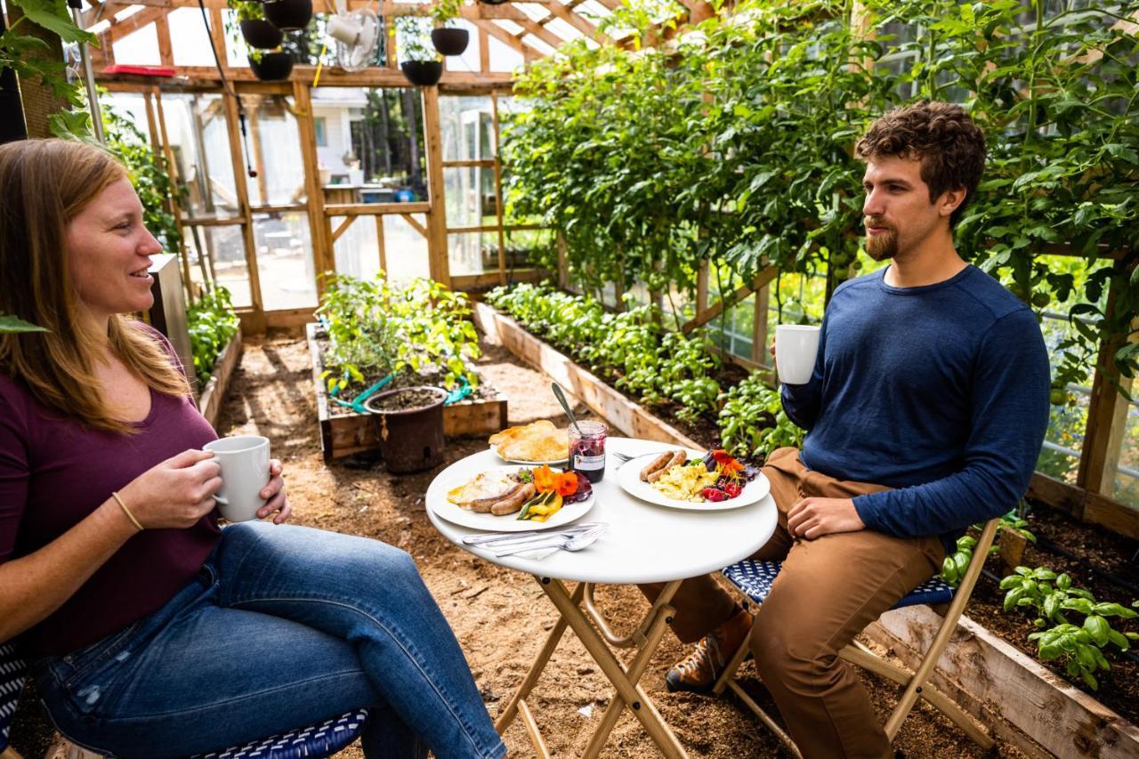 Upper Humber Settlement A Farmstay B&B Cormack Ngoại thất bức ảnh